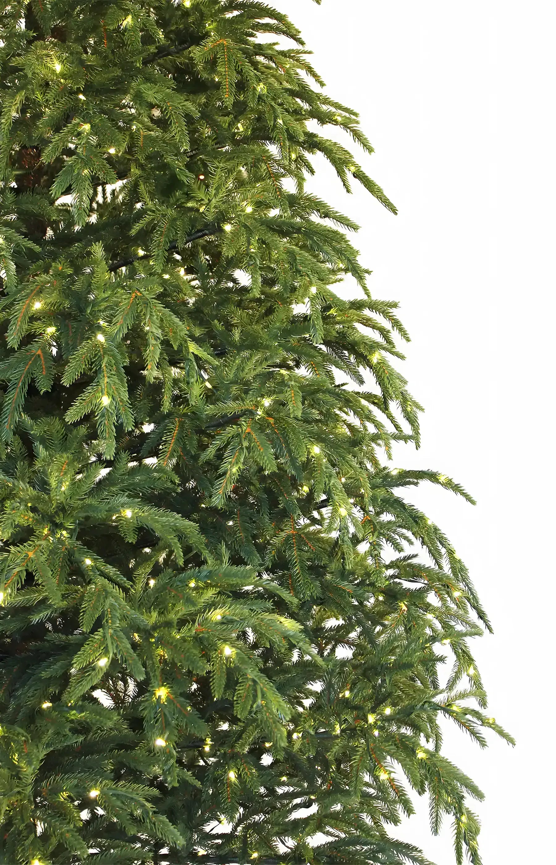 7ft Black Hills Spruce Ultra Realistic 100% PE Pre-Lit Luxury Christmas Tree Branch