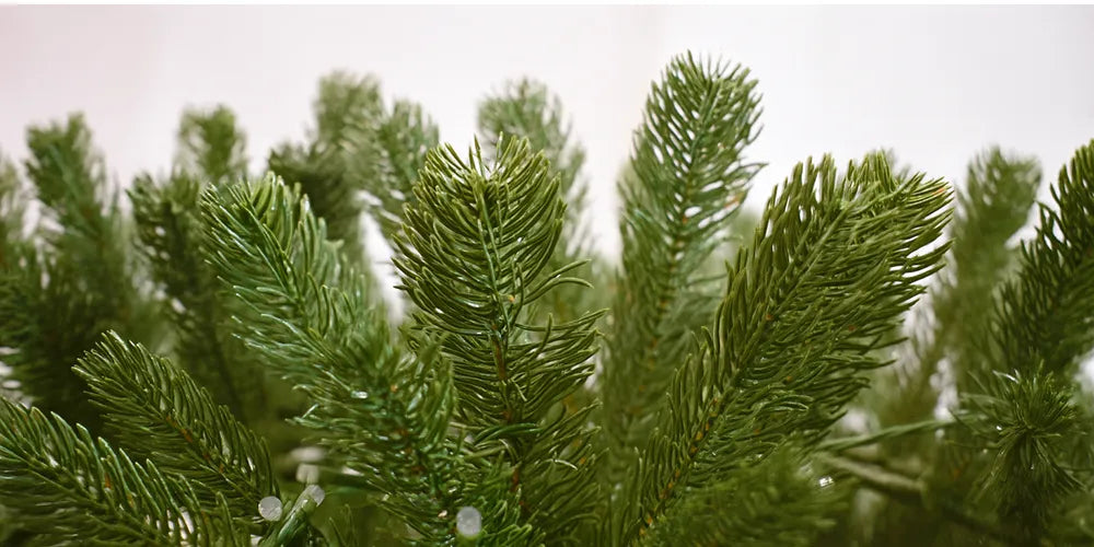 Twinkle Subalpine Fir tip realism icon