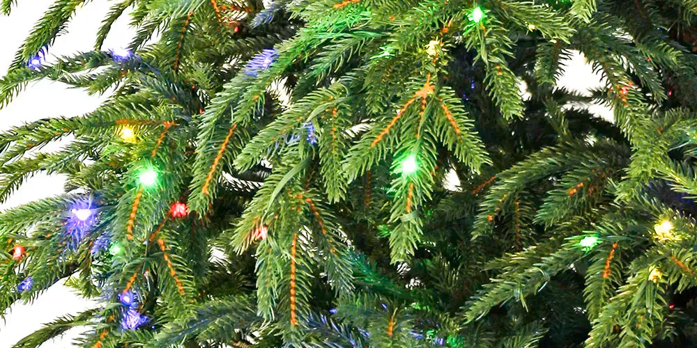 Twinkle Black Hills Spruce lighting icon