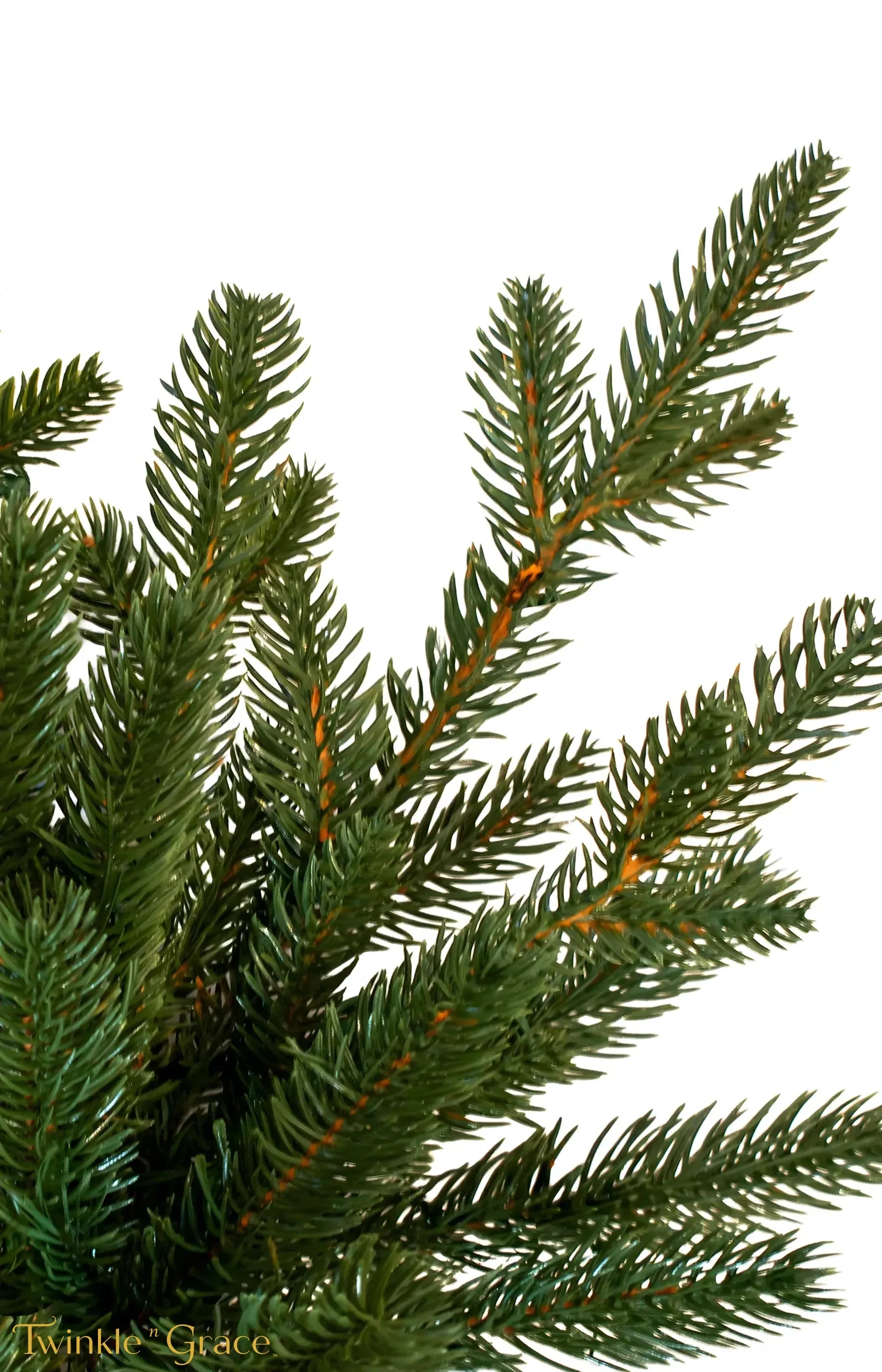 7ft Subalpine Fir Ultra Realistic 100% PE Pre-Lit Luxury Christmas Tip Close-up